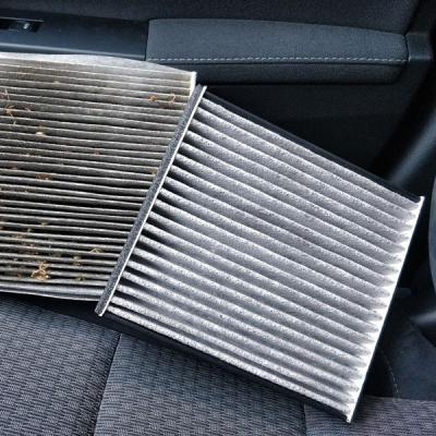 Der Pollenfänger: Innenraumfilter. Der Pollenfänger: Innenraumfilter.